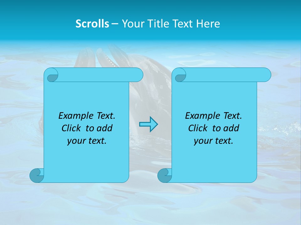 Happy Dolphin Flipper PowerPoint Template