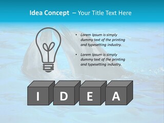 Happy Dolphin Flipper PowerPoint Template