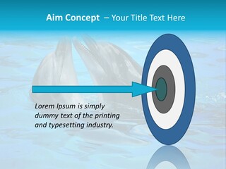 Happy Dolphin Flipper PowerPoint Template