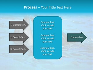 Happy Dolphin Flipper PowerPoint Template