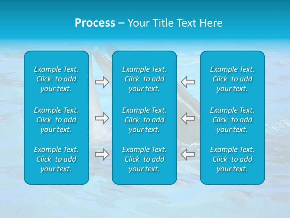 Happy Dolphin Flipper PowerPoint Template
