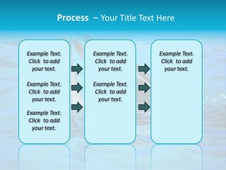Happy Dolphin Flipper PowerPoint Template