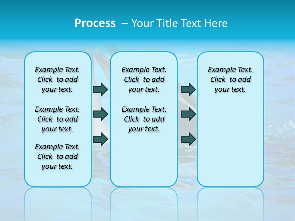 Happy Dolphin Flipper PowerPoint Template