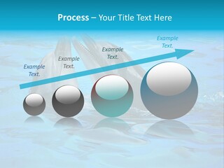 Happy Dolphin Flipper PowerPoint Template