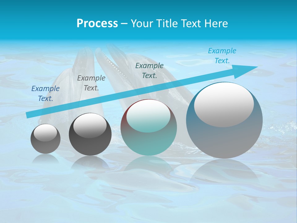 Happy Dolphin Flipper PowerPoint Template