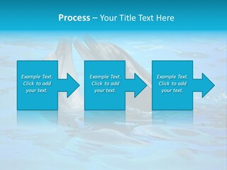 Happy Dolphin Flipper PowerPoint Template
