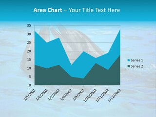Happy Dolphin Flipper PowerPoint Template
