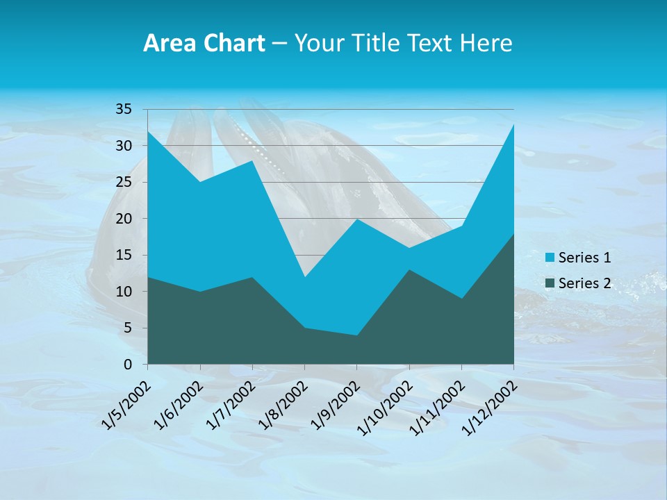 Happy Dolphin Flipper PowerPoint Template
