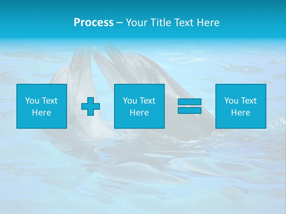Happy Dolphin Flipper PowerPoint Template