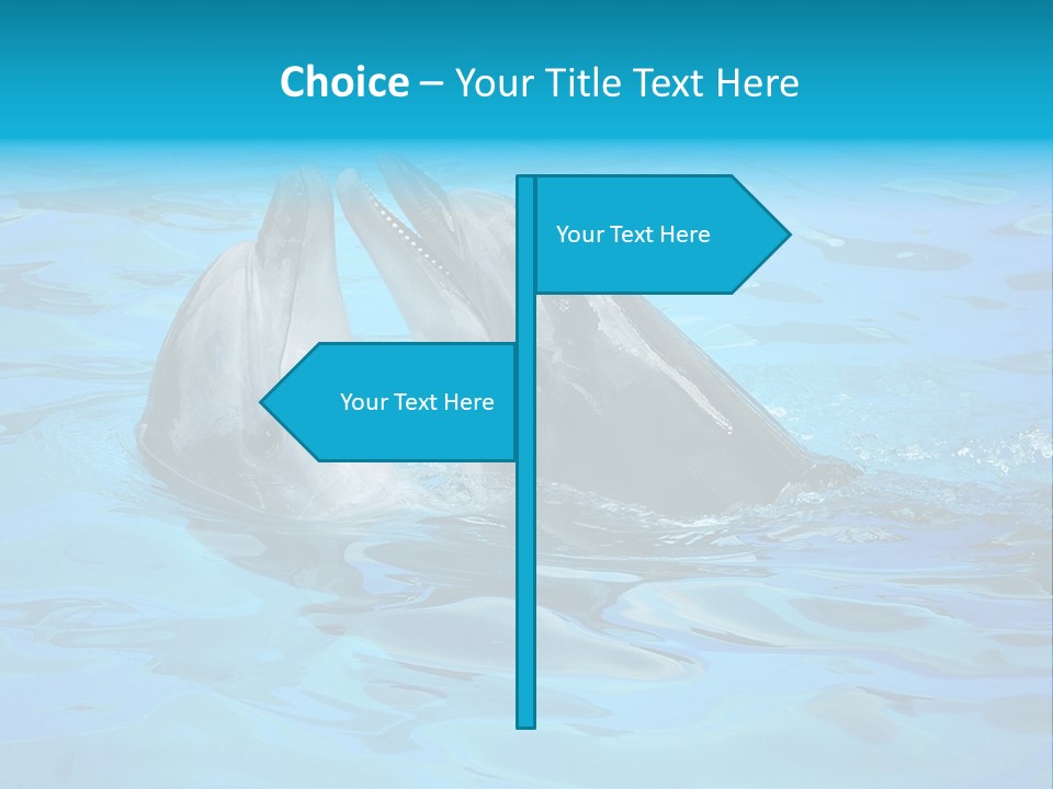 Happy Dolphin Flipper PowerPoint Template