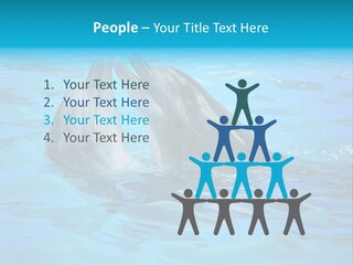 Happy Dolphin Flipper PowerPoint Template