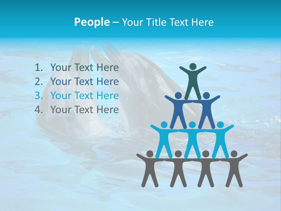 Happy Dolphin Flipper PowerPoint Template