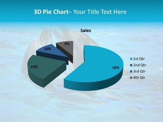 Happy Dolphin Flipper PowerPoint Template