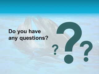 Happy Dolphin Flipper PowerPoint Template