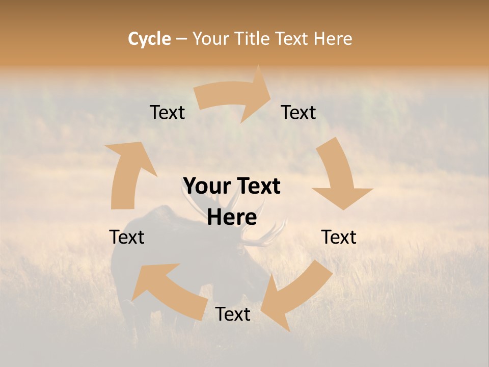 Rockies Scenic Rural PowerPoint Template