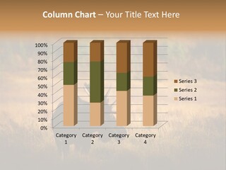 Rockies Scenic Rural PowerPoint Template