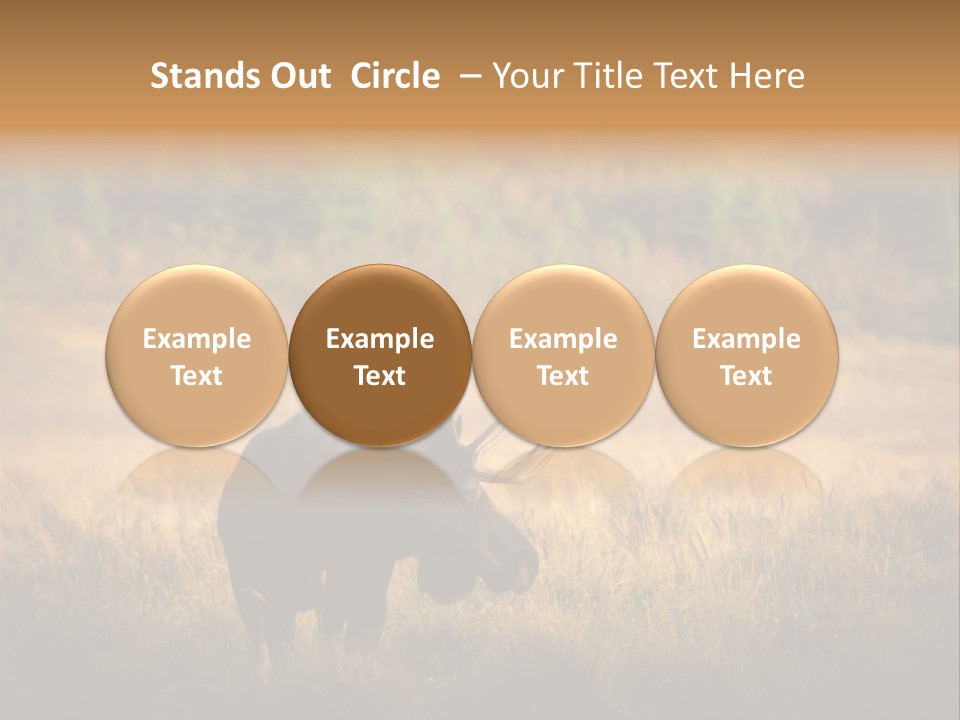 Rockies Scenic Rural PowerPoint Template