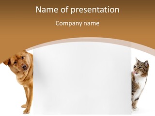 Tabby Banner Close PowerPoint Template