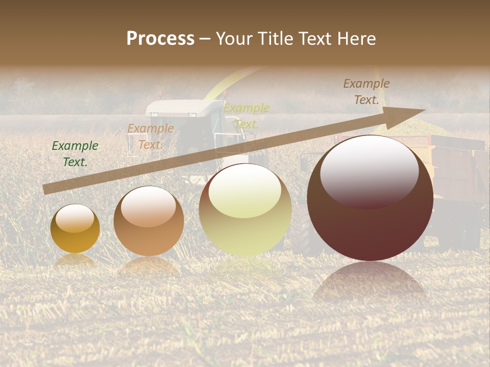 Harvesting Farmer Season PowerPoint Template