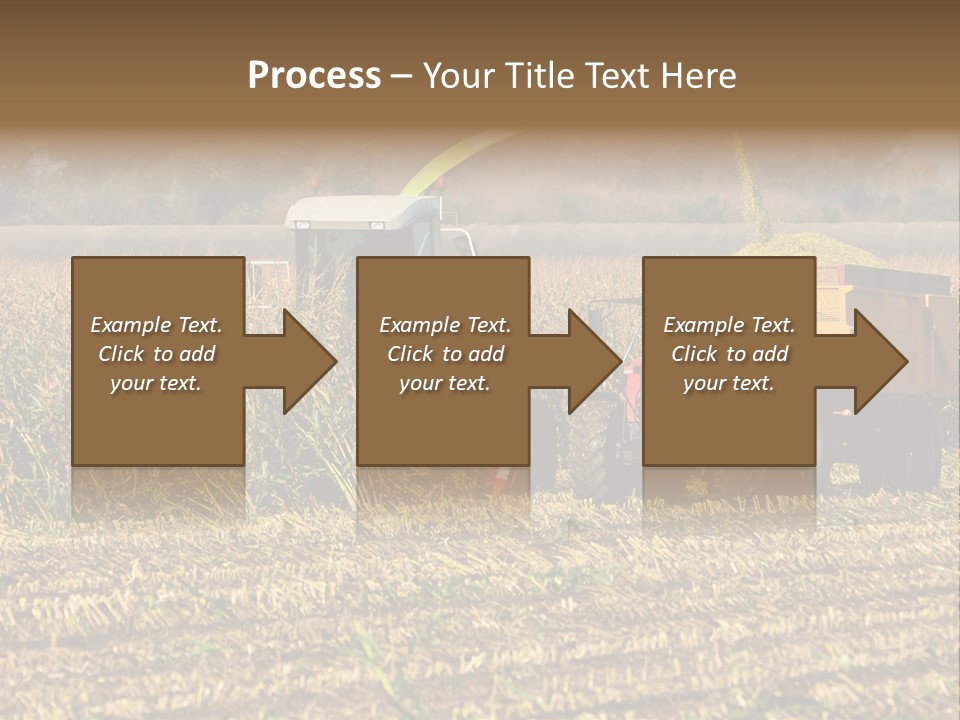 Harvesting Farmer Season PowerPoint Template