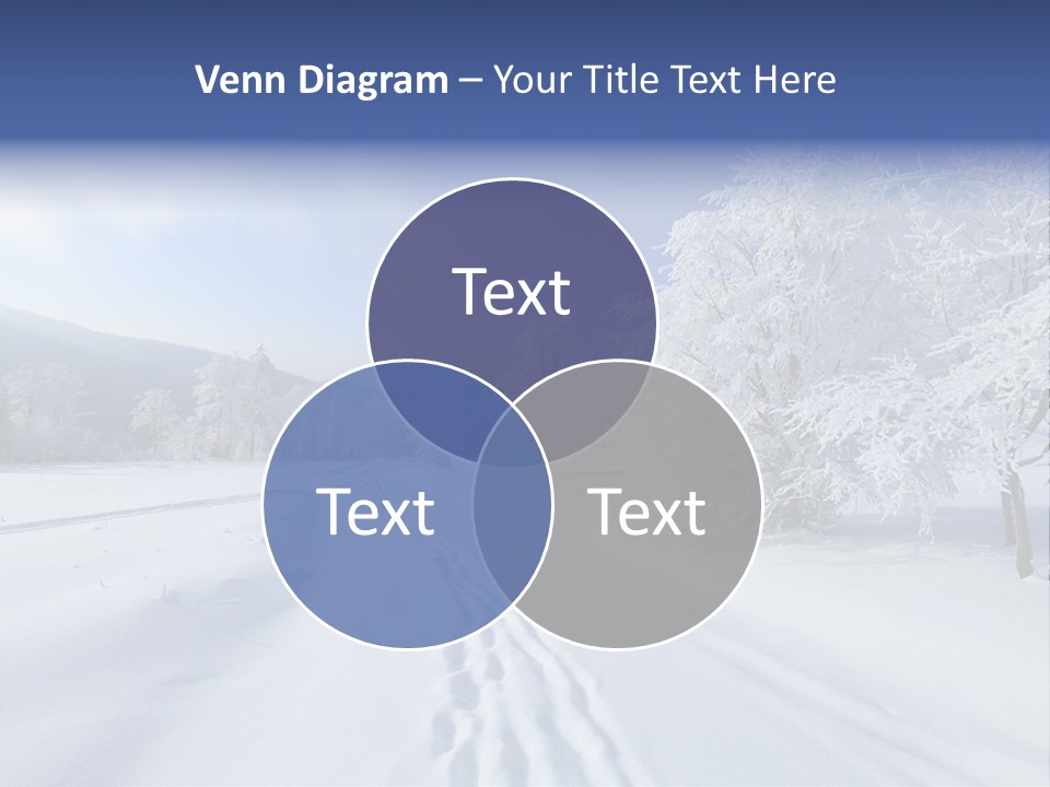 Background Wood Beauty PowerPoint Template