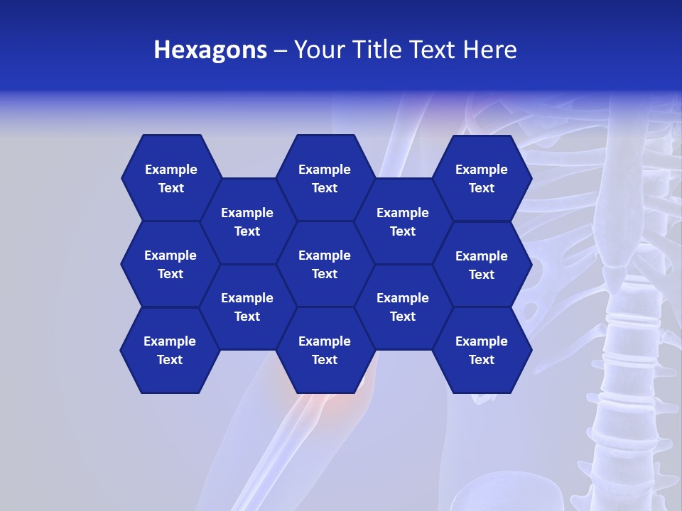 Carcass Health Elbow PowerPoint Template