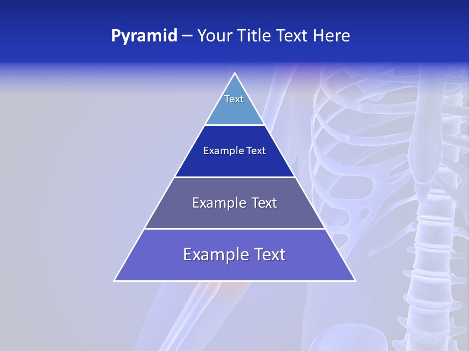 Carcass Health Elbow PowerPoint Template