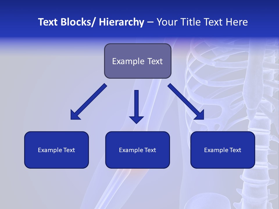 Carcass Health Elbow PowerPoint Template
