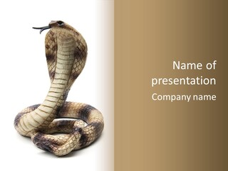 Scary Venom Scales PowerPoint Template