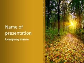 October Thanksgiving Cornucopia PowerPoint Template