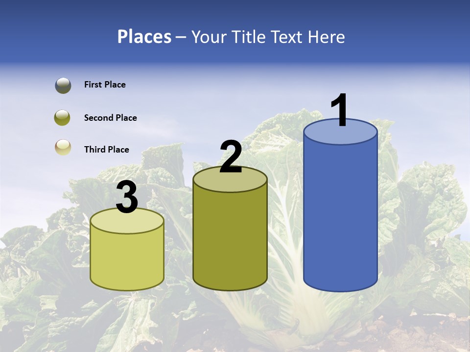 Background Salad Leaf PowerPoint Template