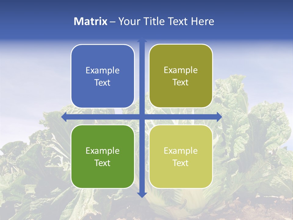 Background Salad Leaf PowerPoint Template