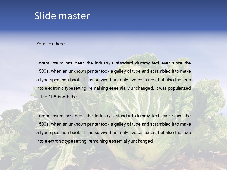 Background Salad Leaf PowerPoint Template