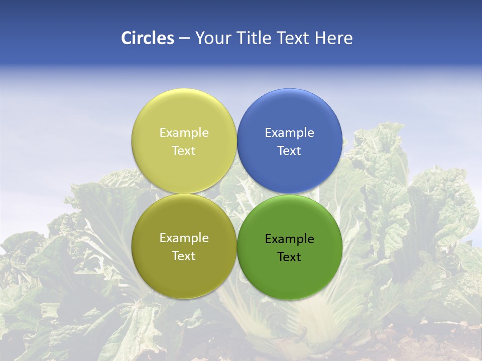 Background Salad Leaf PowerPoint Template