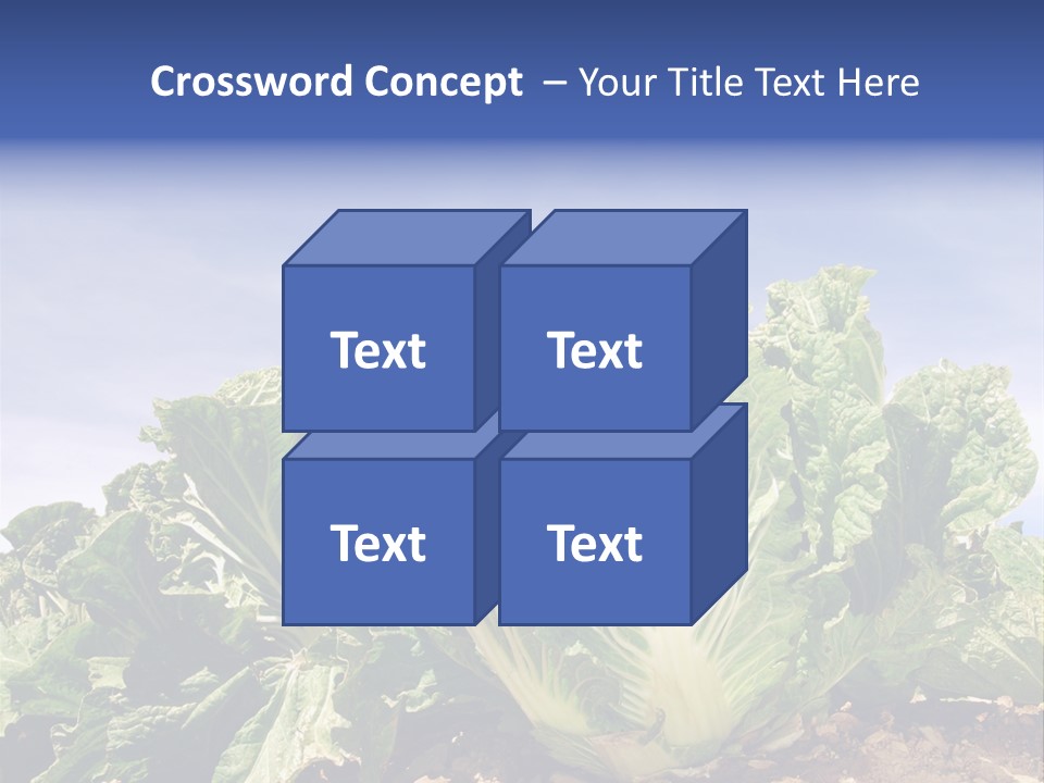 Background Salad Leaf PowerPoint Template