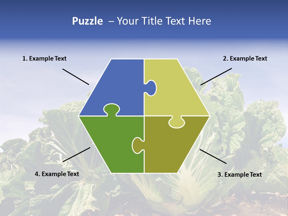 Background Salad Leaf PowerPoint Template