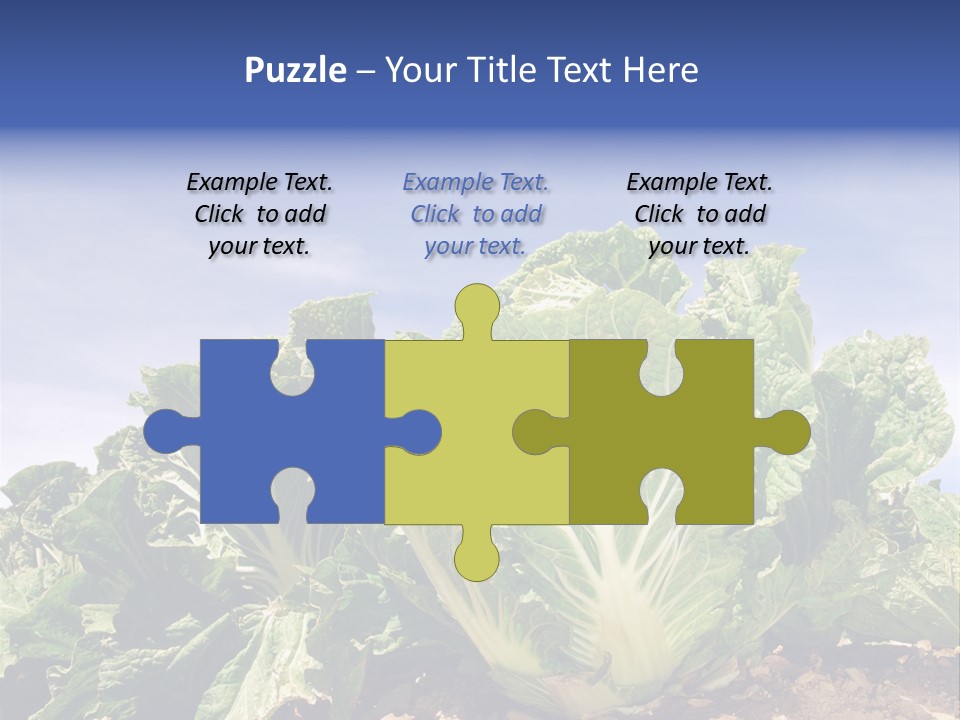 Background Salad Leaf PowerPoint Template