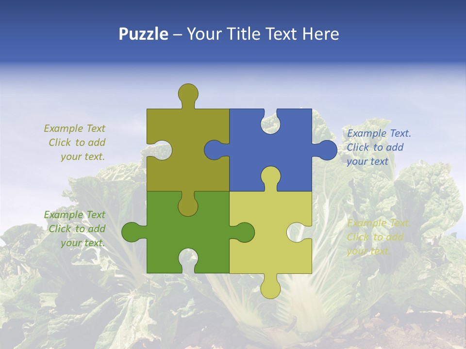 Background Salad Leaf PowerPoint Template