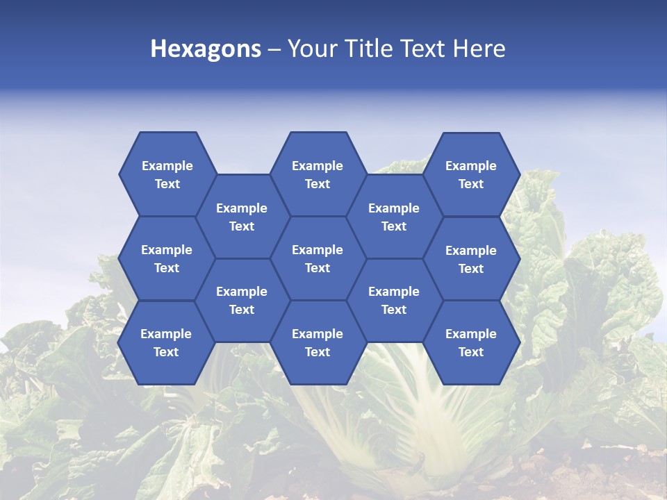 Background Salad Leaf PowerPoint Template