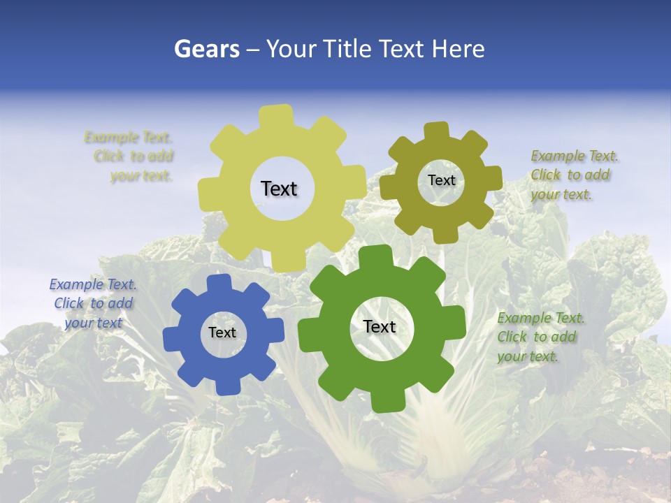 Background Salad Leaf PowerPoint Template