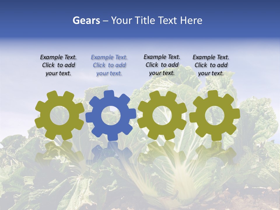 Background Salad Leaf PowerPoint Template