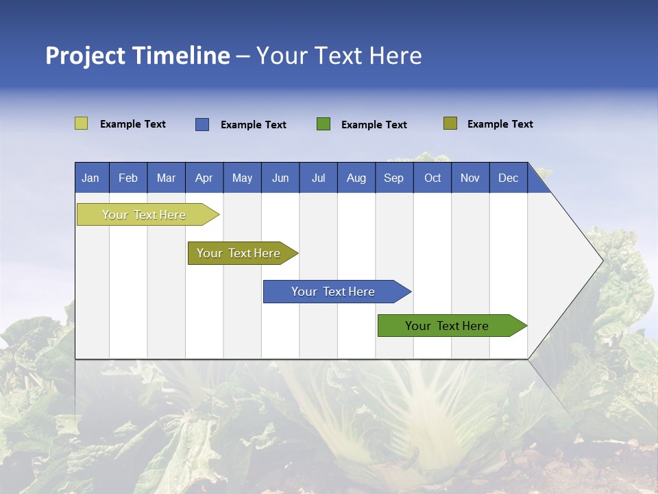 Background Salad Leaf PowerPoint Template