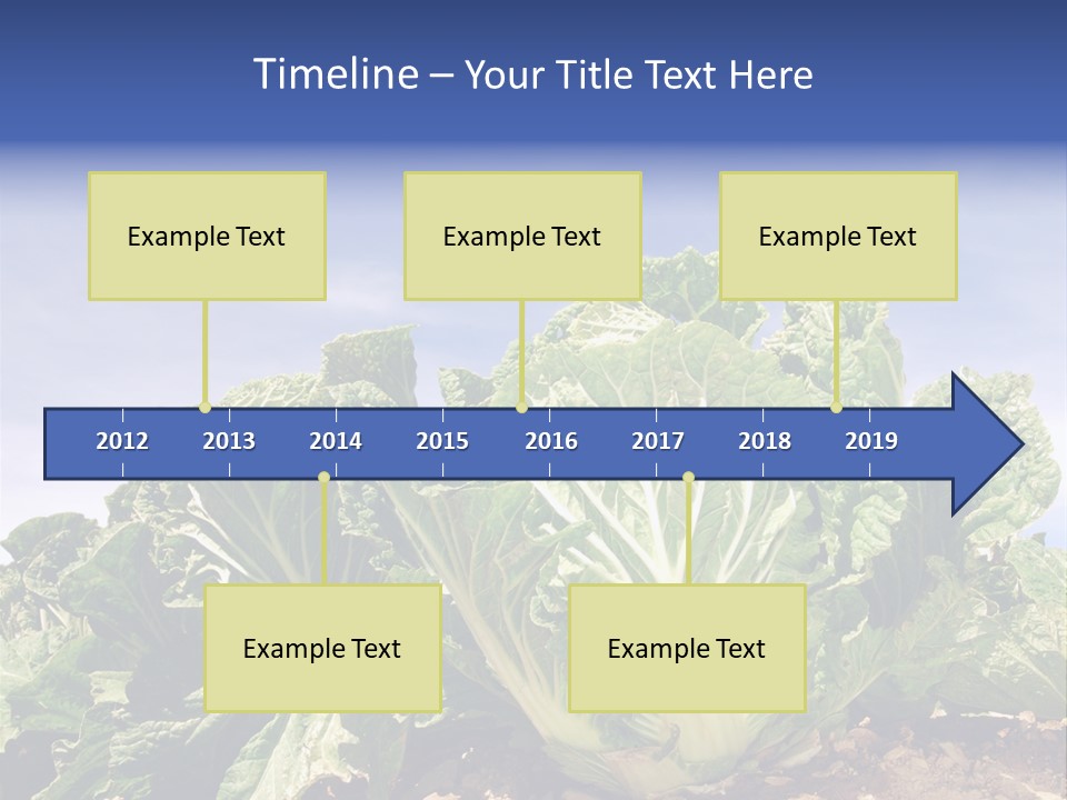 Background Salad Leaf PowerPoint Template