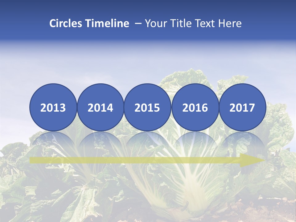 Background Salad Leaf PowerPoint Template