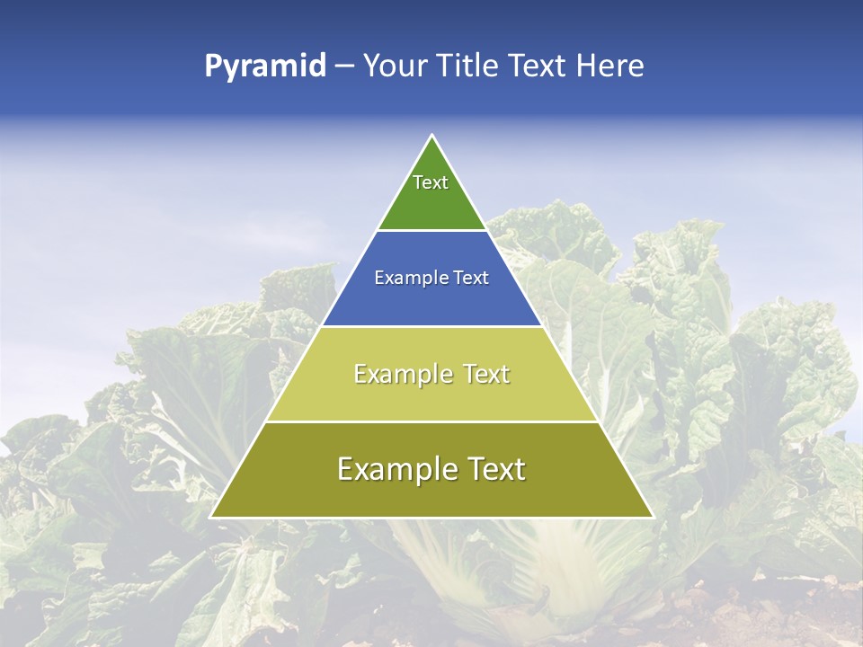 Background Salad Leaf PowerPoint Template