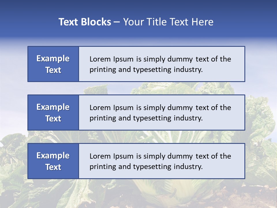 Background Salad Leaf PowerPoint Template