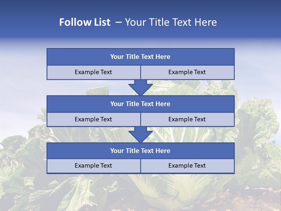 Background Salad Leaf PowerPoint Template