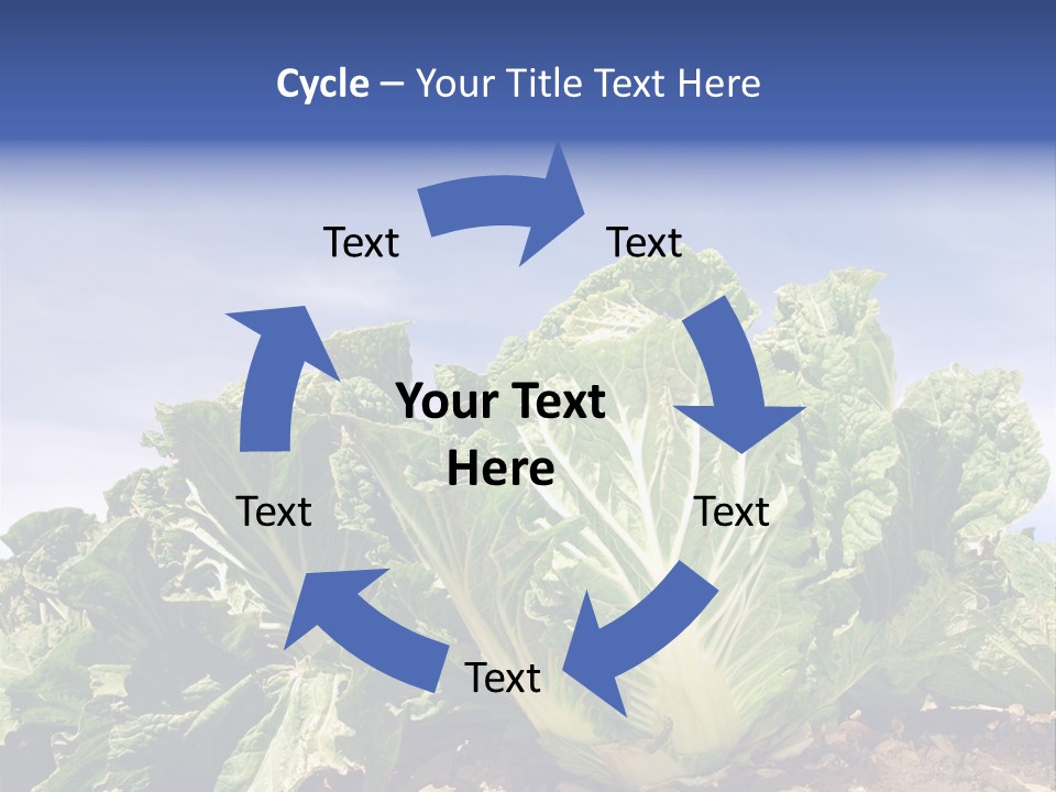 Background Salad Leaf PowerPoint Template