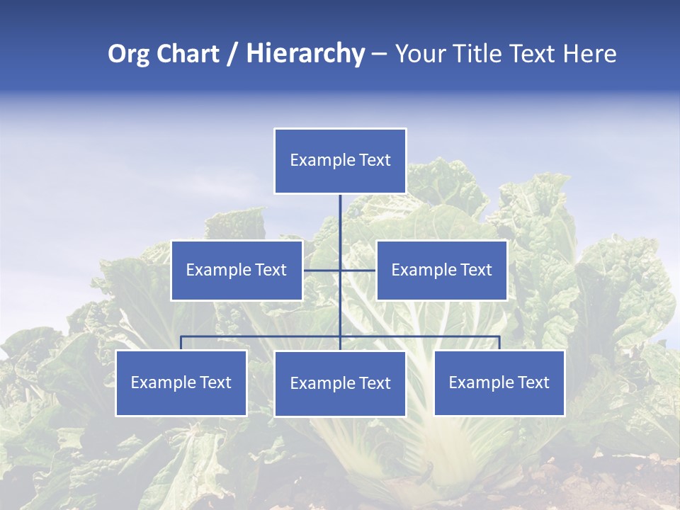 Background Salad Leaf PowerPoint Template