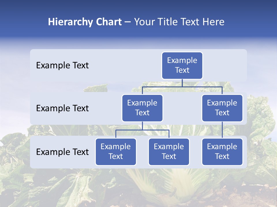 Background Salad Leaf PowerPoint Template